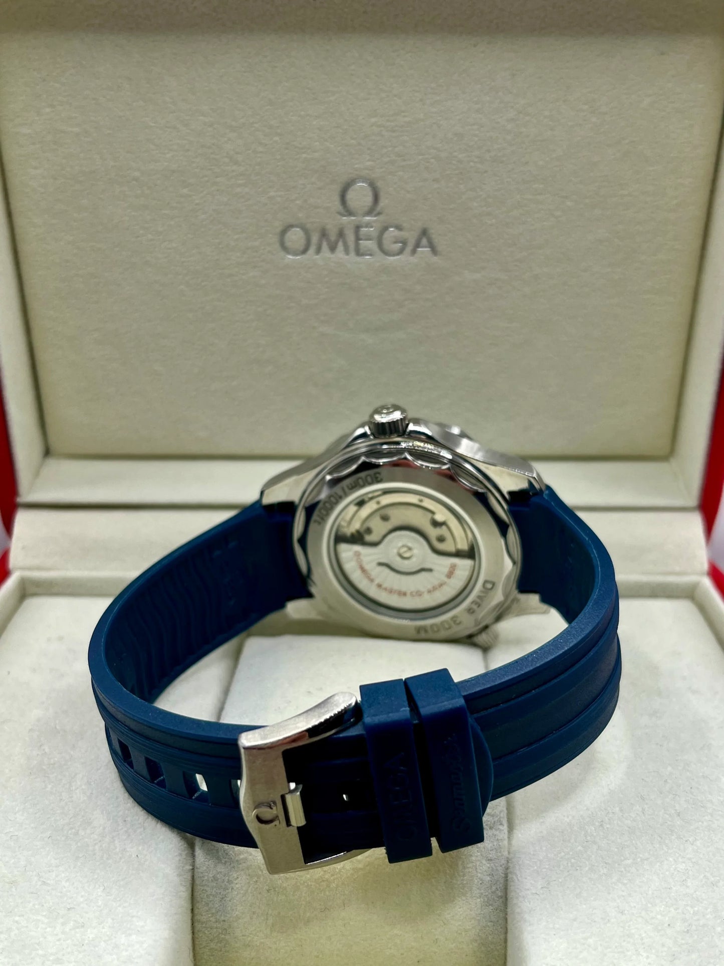 Omega Seamaster Professional Blue Dial Watch